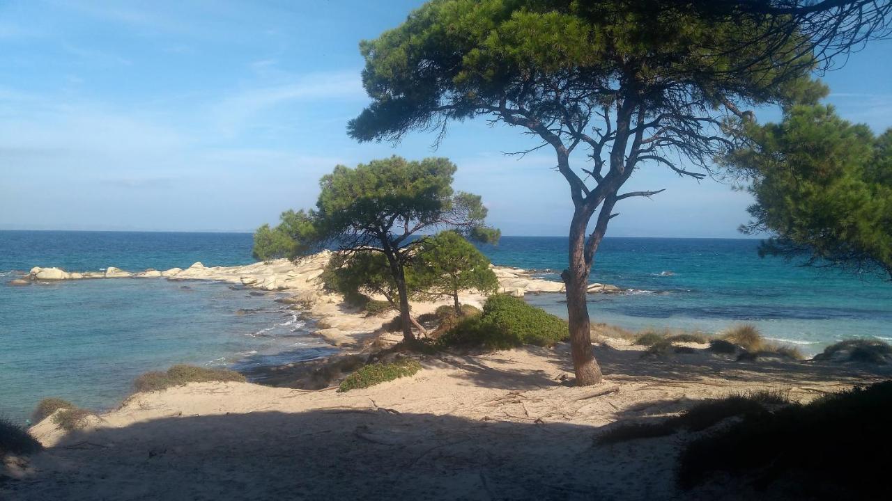 Appartamento Haus Despina Sarti Esterno foto
